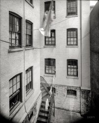 New York circa 1905. "Tenement courtyard." Rear Window: The Prequel. 8x10 inch dry plate glass negative, Detroit Publishing Company. View full size.