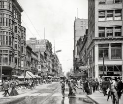 Cincinnati circa 1907. "Fifth Street north from Race." Golden age of the Painless Dental Parlor and electric-bulb signage. 8x10 glass negative. View full size.