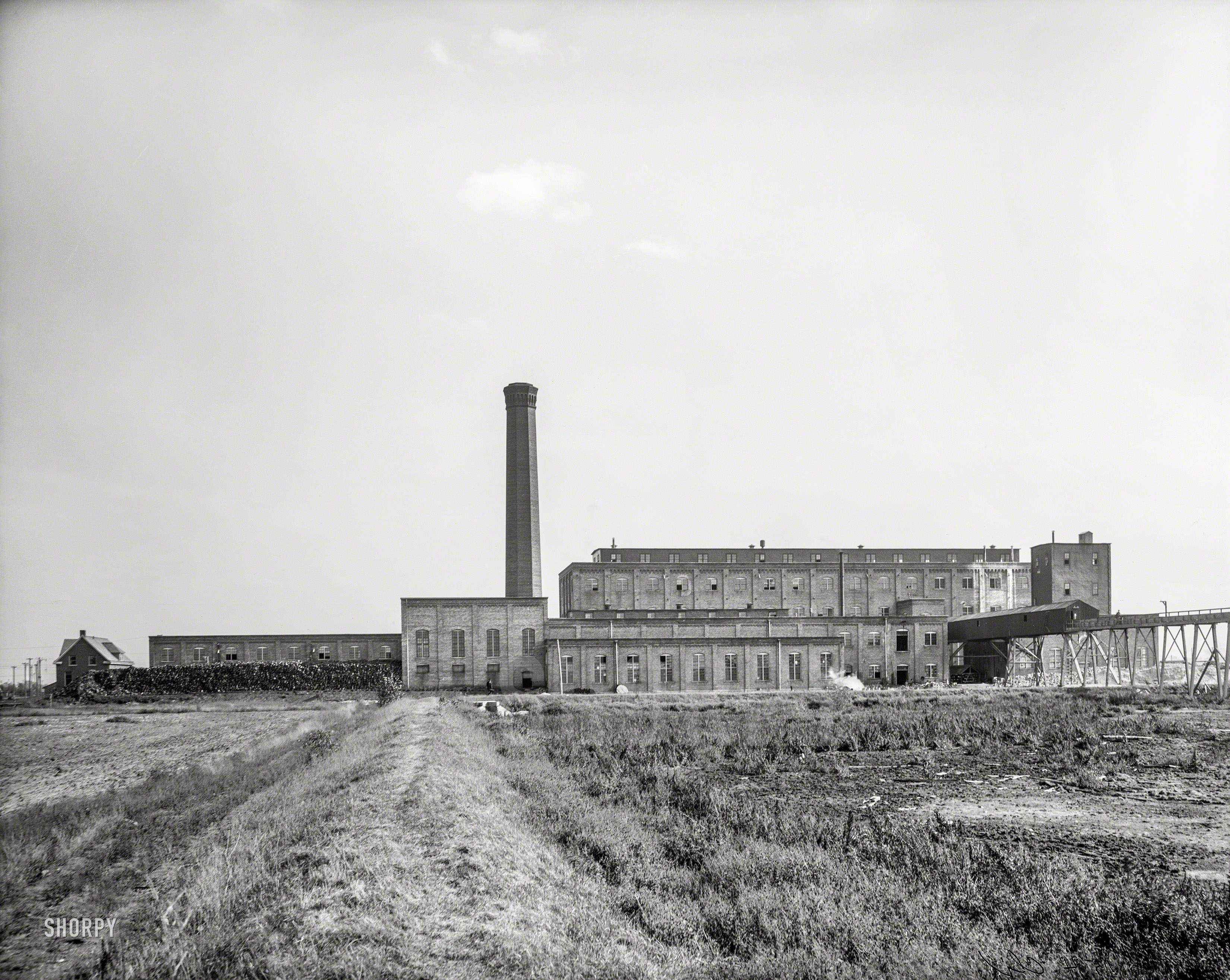 1908. "Michigan Sugar Co., Saginaw." Processor of sugar beets. 8x10 inch dry plate glass negative, Detroit Publishing Company. View full size.