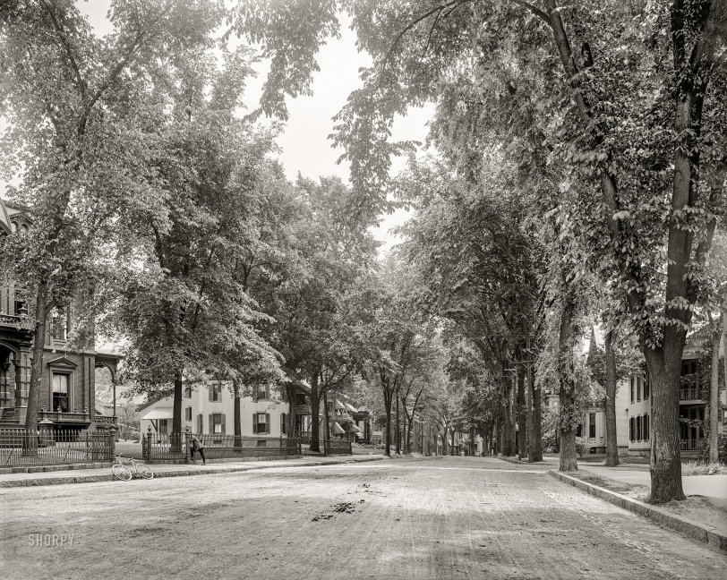 Circa 1908. "North Adams, Massachusetts -- Church Street." Let's meet under the elm tree. 8x10 inch glass negative, Detroit Publishing Company. View full size.
