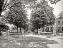1908. "Arnold Park -- Rochester, N.Y." Our title comes from the traffic sign on the median. 8x10 inch glass negative, Detroit Publishing Co. View full size.