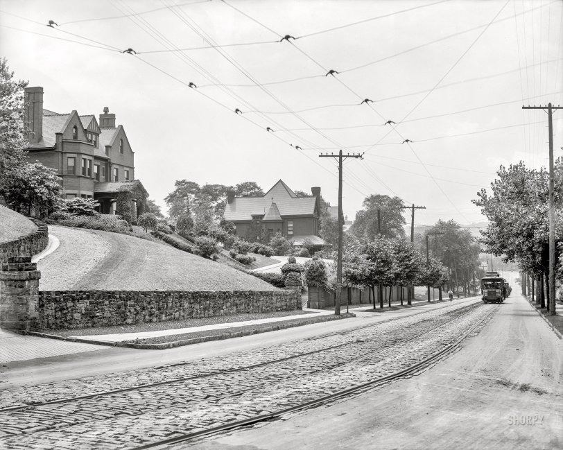 Circa 1909. "Residences, Forbes Avenue -- Pittsburgh, Pennsylvania." Next stop, Swissvale. 8x10 inch dry plate glass negative, Detroit Publishing Company. View full size.
