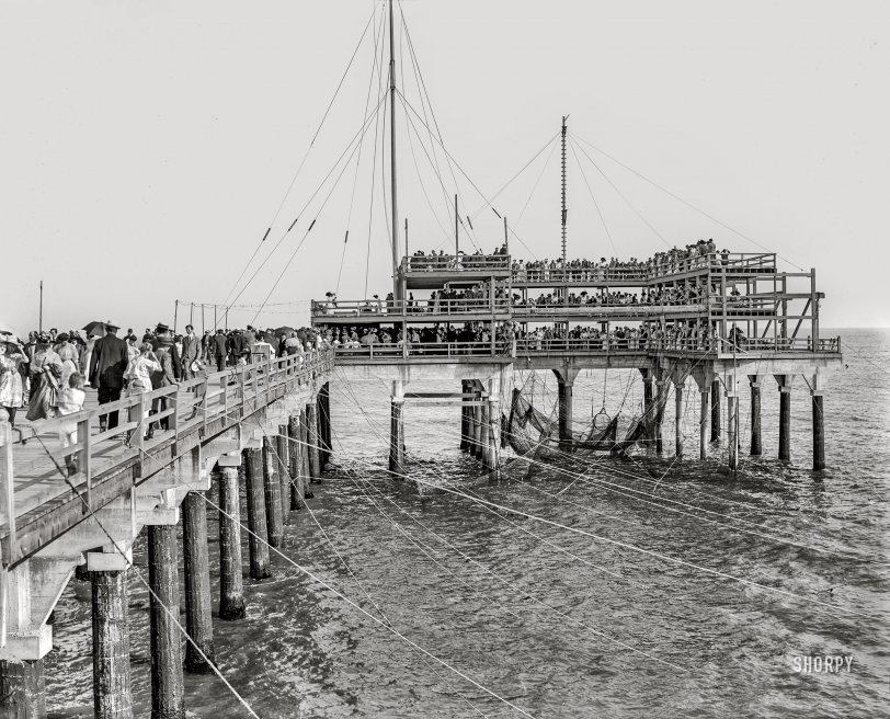 The Jersey Shore circa 1910. "Lifting the nets -- Young's Million Dollar Pier, Atlantic City." 8x10 inch dry plate glass negative, Detroit Publishing Company. View full size.
