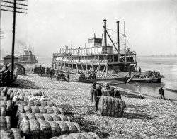 The sternwheeler City St. Joseph on the Mississippi River circa 1910. "Unloading cotton on the levee. Memphis, Tennessee." 8x10 glass negative. View full size.