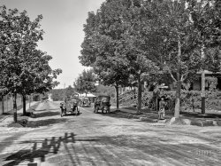 Magnolia, Massachusetts, circa 1910. "Autos at entrance to the Oceanside." At the intersection of Hesperus and Lexington avenues. 8x10 inch glass negative. View full size.