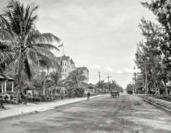 Circa 1910. "Hotel Halcyon and Avenue B looking north -- Miami, Fla." 8x10 inch dry plate glass negative, Detroit Publishing Company. View full size.