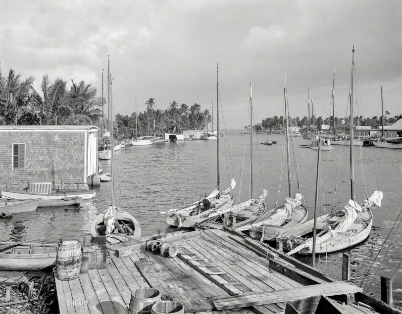 Miami circa 1910. "Mouth of the Miami River and Biscayne Bay." 8x10 inch dry plate glass negative, Detroit Publishing Company. View full size.
