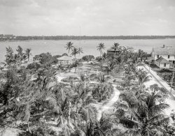 Circa 1910. "City park and Lake Worth -- West Palm Beach, Florida." 8x10 inch dry plate glass negative, Detroit Publishing Company. View full size.