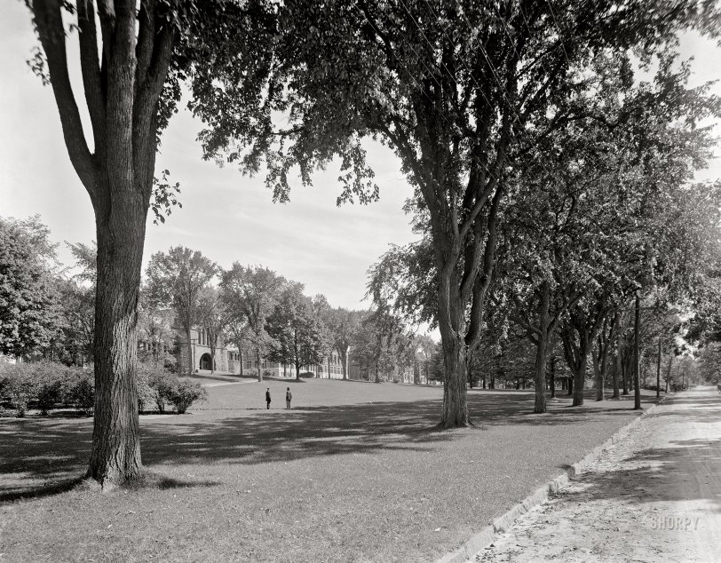 Circa 1911. "The College Green -- Burlington, Vermont." 8x10 inch dry plate glass negative, Detroit Publishing Company. View full size.

