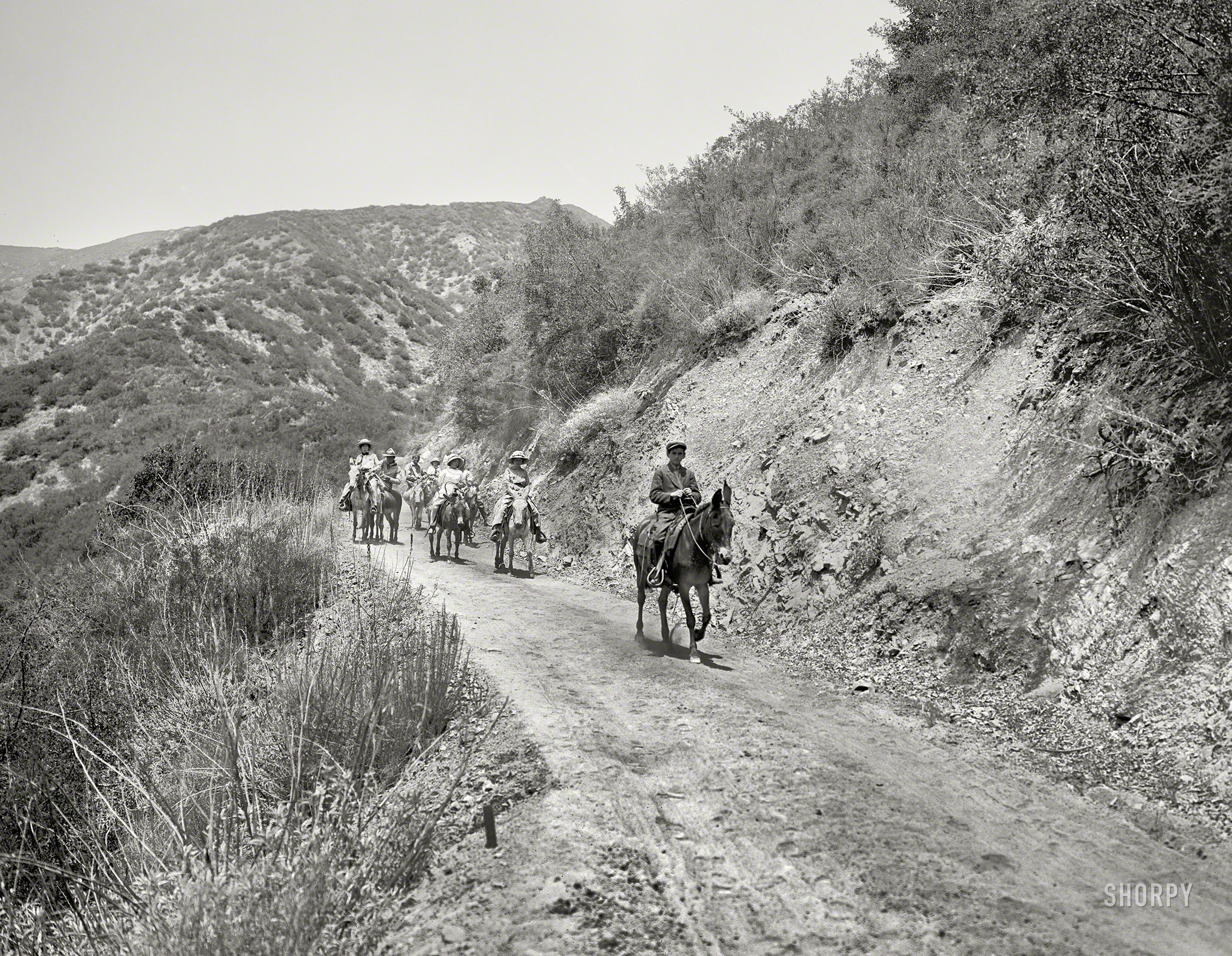 California (?) circa 1912. "On the trail." A Supposedly Fun Thing I'll Never Do Again: The Prequel. 8x10 inch dry plate glass negative. View full size.