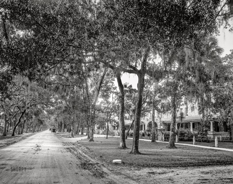 Daytona Beach, Florida, circa 1910. "Hotel Ridgewood and Ridgewood Avenue." 8x10 inch dry plate glass negative, Detroit Publishing Company. View full size.