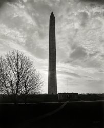 Washington, D.C., circa 1910. "Washington Monument, looking west." 8x10 inch dry plate glass negative, Detroit Publishing Company. View full size.
What a spire!Yet I have always wondered why an obelisk would be associated with Washington, who wore curly wigs and buckle shoes. Whose idea was that design?
Answer lies in Wiki:
On September 23, 1835, the board of managers of the society described their expectations:[32]
It is proposed that the contemplated monument shall be like him in whose honor it is to be constructed, unparalleled in the world, and commensurate with the gratitude, liberality, and patriotism of the people by whom it is to be erected ... [It] should blend stupendousness with elegance, and be of such magnitude and beauty as to be an object of pride to the American people, and of admiration to all who see it.
EgyptWhy an obelisk?  Earlier than this was the monument to Washington, also in Baltimore. Both designed by Robert Mills.
The column/obelisk monument dates back through Rome to Egypt (and earlier).  When the Romans didn't want to build their own column, they'd pick up one or two from the Nile Valley and re-erect them thousands of miles away in Rome and, later, Constantinople. just to show their greatness.
Washington and the rest of the founding fathers consciously modeled their Republic on that of Rome.  Since the US wouldn't have the technological capability to move an obelisk to the US until late in the 19th Century, they were stuck with building a symbol.  The appropriate symbol in Rome for a great leader was the obelisk, so why not for the man who led and won the effort to re-establish the Republic of the ancient world in the new, and retired from office to allow power to pass on peacefully. 
And what better way than to build the biggest obelisk the world had ever seen?  We were typically American, even at the get go.
(The Gallery, D.C., DPC)