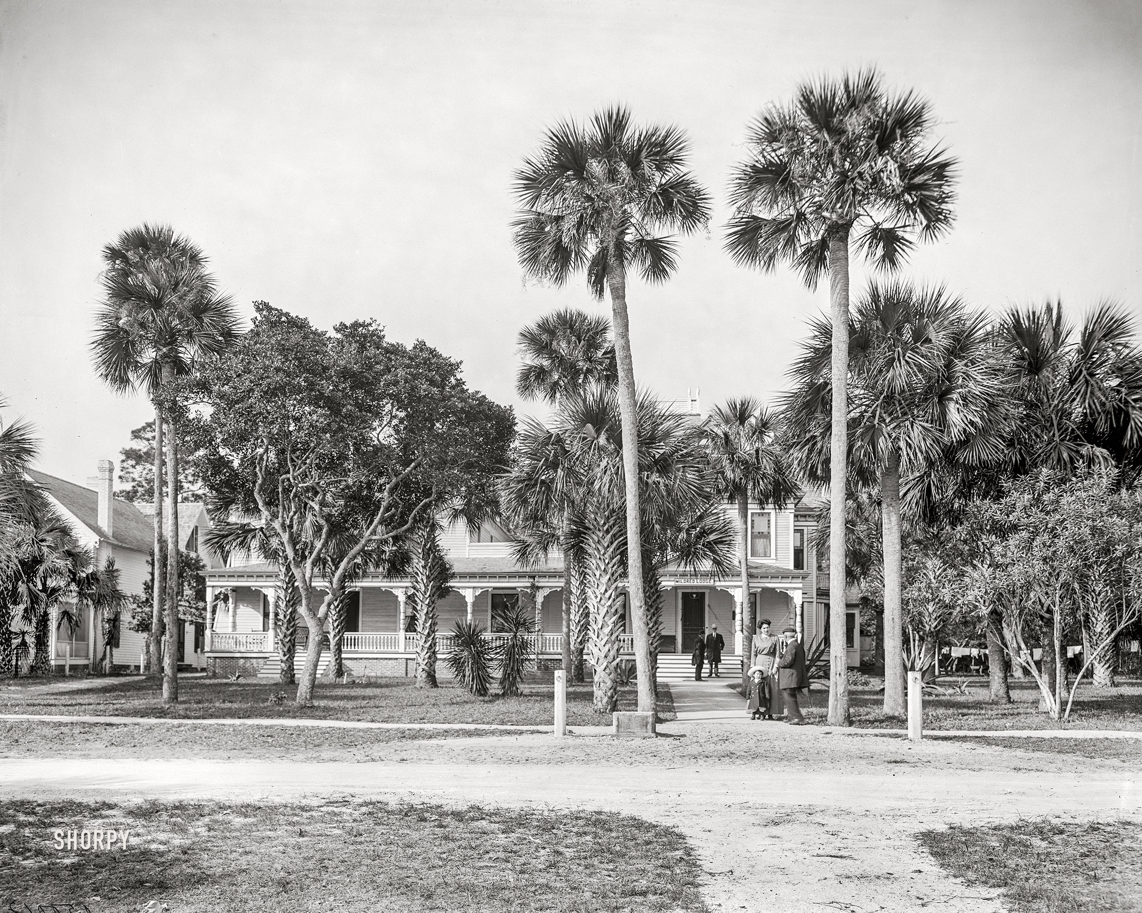 Circa 1915. "Mildred Lodge -- Ormond, Fla." Rooms $2.50 and up. 8x10 inch dry plate glass negative, Detroit Publishing Company. View full size.