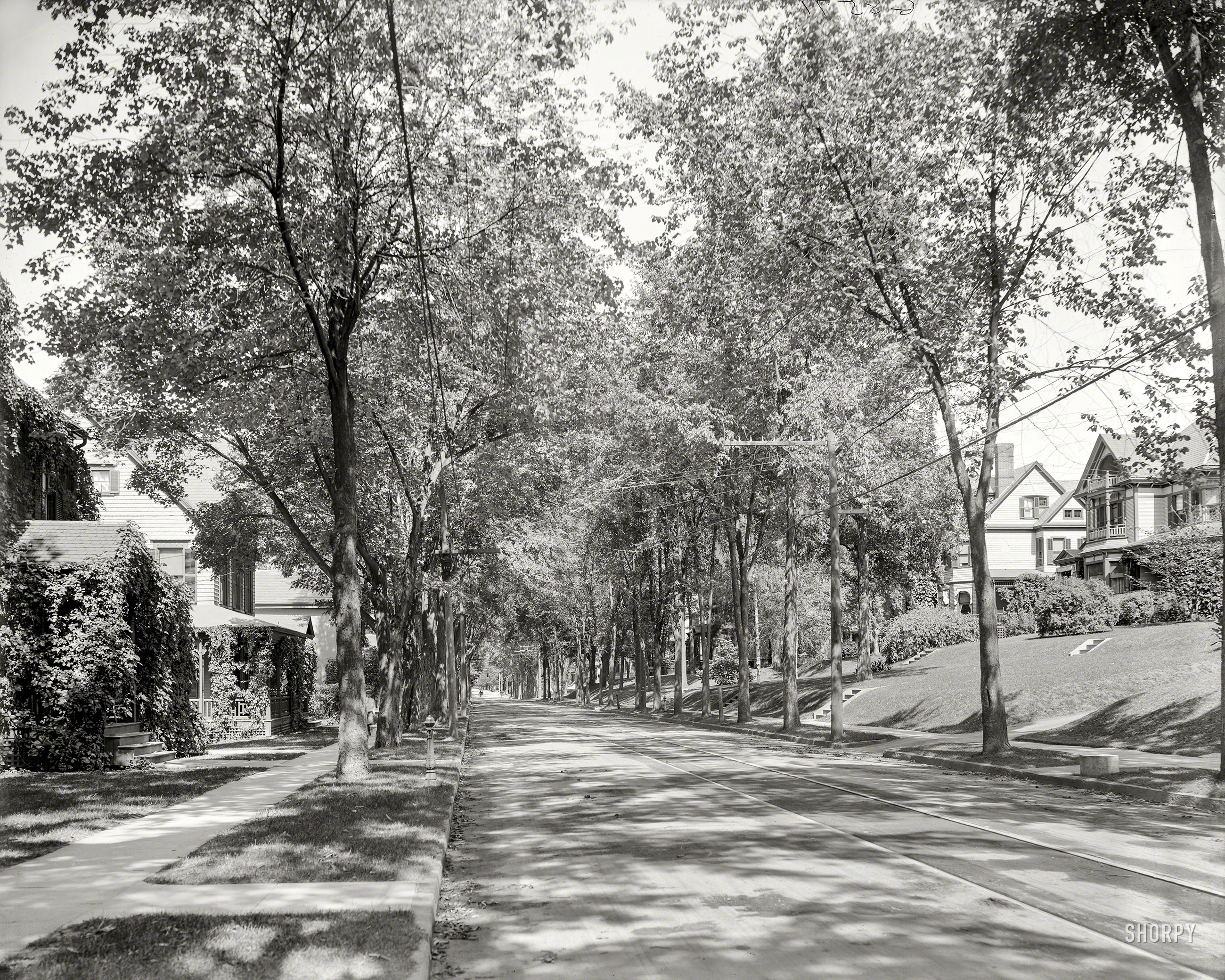 Circa 1905. "South Union Street -- Burlington, Vermont." A postcard from the days of hitching posts, mounting blocks, streetcar tracks and elm trees, all of which have pretty much vanished from the scene. 8x10 glass negative. View full size.