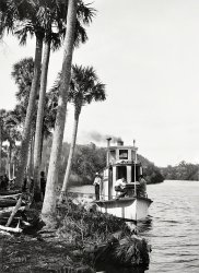 Along Florida's Indian River circa 1890. "Wood landing in Jupiter Narrows." 5x7 inch glass negative by William Henry Jackson. View full size.