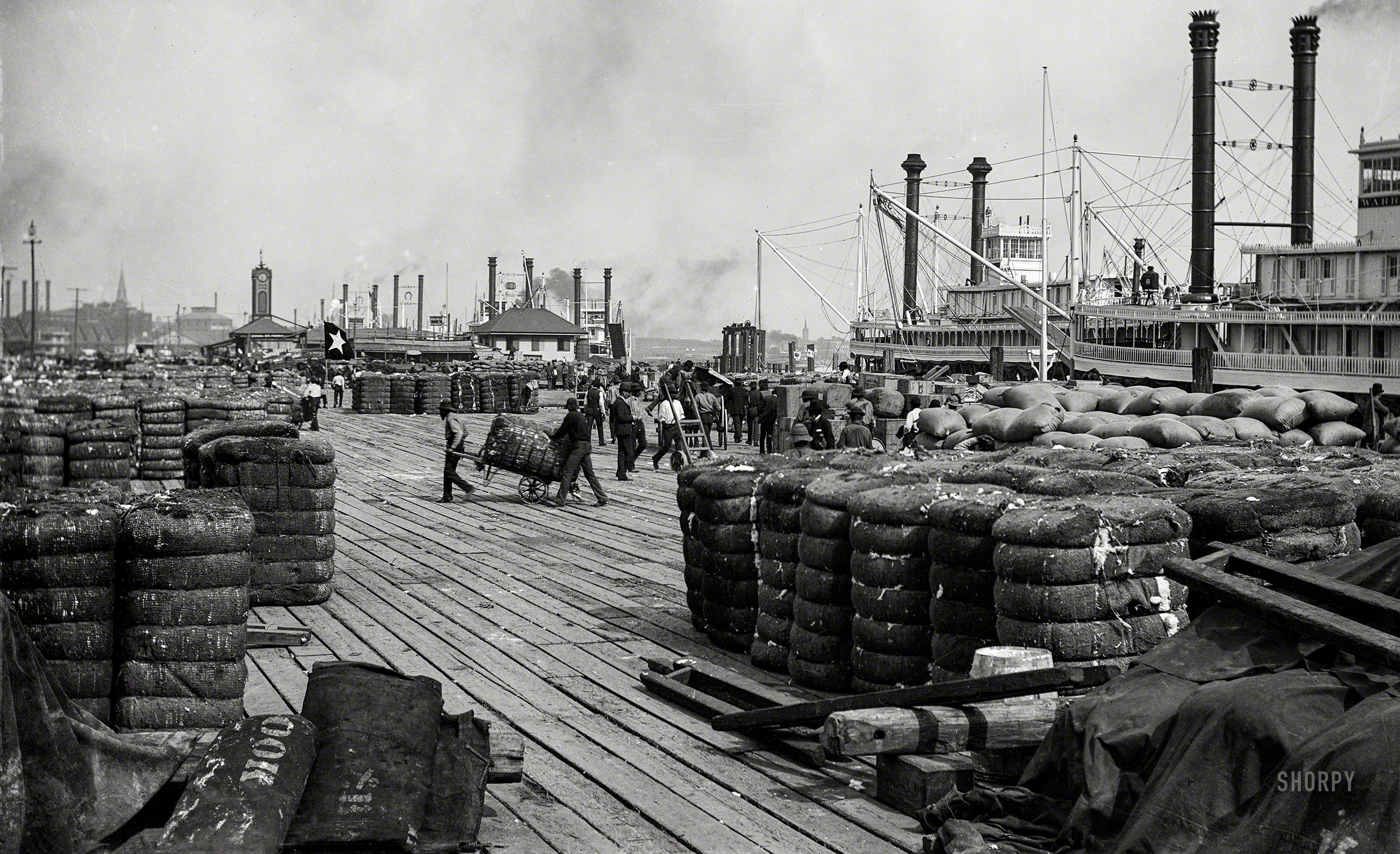 Along the Mississippi River circa 1890. "Cotton on the levee at New Orleans." 5x7 inch glass negative by William Henry Jackson. View full size.