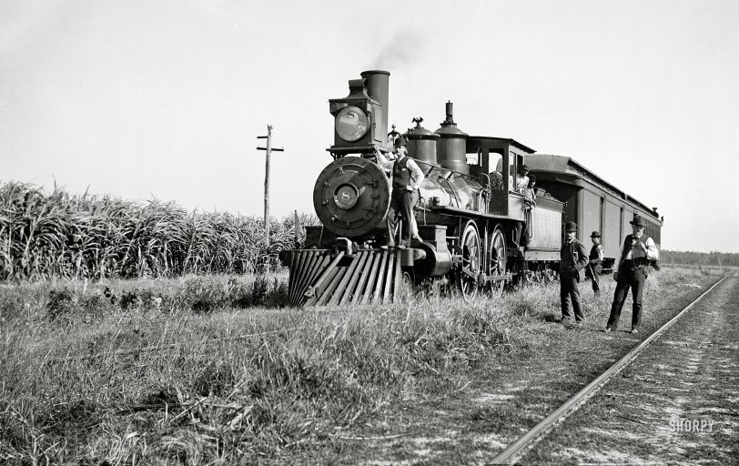Cane Train: 1897