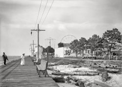 Norfolk, Virginia, circa 1906. "Pine Beach -- amusements and boardwalk." 5x7 inch dry plate glass negative, Detroit Publishing Company. View full size.
Grewsome ObjectsTHE DAILY PRESS, Newport News, Va., June 21, 1906
"HEREAFTER" AT PINE BEACH
Local Amusement Company Offers
Weird St. Louis Attraction
"Hereafter," a spectacular show which created a sensation on the Pike at the St. Louis exposition, has been put in at Pine Beach by the Newport News Amusement Corporation at a cost of $10,000 and will be ready for public exhibition tomorrow afternoon and night.
The contract for constructing this expensive amusement enterprise was awarded to Austin, Bradwell and McClennan of New York, the firm which put in the St. Louis show. Mr. McClennan was manager of Luna Park at Coney Island for two seasons, and has created such shows as "The Johnstown Flood" and "Over and Under the Sea."
"Hereafter" is under the general management of Messrs. Clinedinst and Ballard, of this city.
The show is a very weird one but it has never failed to attract immense crowds wherever exhibited. Entering the first chamber of the great building erected for this show, the spectators are ushered into the chamber of horrors, the walls of which are lined with coffins and decorated with grinning skulls and other grewsome objects. This is an exact reproduction of the famous Cabaret de la Mort, or the Cabinet [sic] of Death, in Paris. The lecturer invites some person in the crowd to enter one of the upright coffins and he is immediately transformed into a skeleton. His spirit invites the spectators to accompany him to the under world and together they descend a bottomless pit, finally crossing the river Styx and finishing in Hades. The electrical effects used are most vivid and greatly add to the impressiveness of the scene.
Entertainment through the decadesIt's nice to see Oliver Hardy and Mary Martin making use of someone's time machine. But as for the Hereafter, it is easy for us to snicker at such a kitschy exhibit for the rubes, but our contemporary comic book movies and "reality" tv are just as stylized and phony. In fifty years this will be really obvious.
Less amusing now.Pine Beach was located at Sewell’s Point in Norfolk.


Pine Beach Hotel - The Hampton Roads Naval Museum Blog
A Hellish Experience?I have to wonder if that expensive $10,000 investment was profitable as time went on.
I&#039;LL GET IT Apparently, the merry-go-round swing thing in the center of photo is stuck because someone is scaling up the side to locate the problem with a 1906 version of WD-40 aka lubricating oil. 
WhirligigThe merry-go-round swing thing in the center of photo.
I&#039;d be hereafter... a ride on the little train just the other side of the messy log patch. Looks like a nice steamer, willing to tote a dozen or so happy kids around the park. And the name "Hereafter" reminds me of the old plug about what guys say to their date right after parking in the woods.
Somebody help meWhat is that thing which the woman in white is looking/laughing at? I refer to what appears to be an elephant trunk -- not attached to an elephant -- suspended between the two benches. BTW I am stone cold sober.
[Is it a trunk? More likely a limb! It looks to me like part of a tree. - Dave]

(The Gallery, DPC, Norfolk)