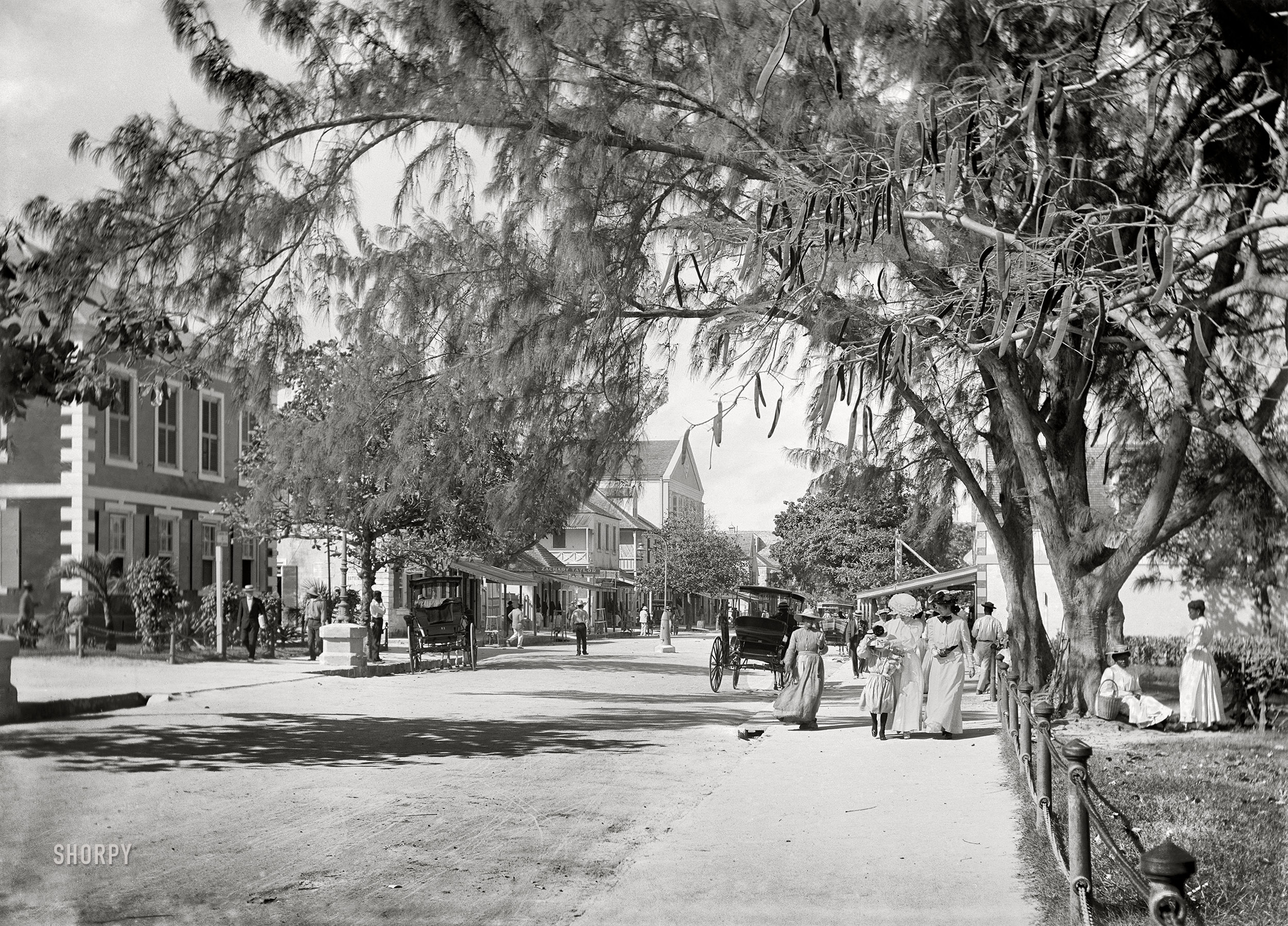 1906. "Bay Street, Nassau, Bahama Islands." 5x7 inch dry plate glass negative, Detroit Publishing Company. View full size.