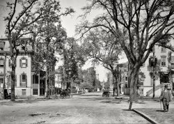 Savannah, Georgia, circa 1906. "Bull Street at Liberty Street, and City Hall." 5x7 inch dry plate glass negative, Detroit Publishing Company. View full size.