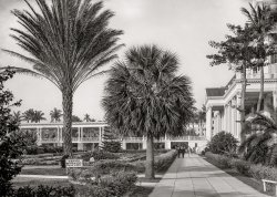 Circa 1901. "In the gardens -- Colonial Hotel, Nassau, Bahamas." Built by Henry M. Flagler on the site of Fort Nassau, the hotel was destroyed by fire in 1922. Its current incarnation is the British Colonial Hilton Nassau, owned by the China State Construction Engineering Corporation. 5x7 inch glass negative, Detroit Photographic Company. View full size.