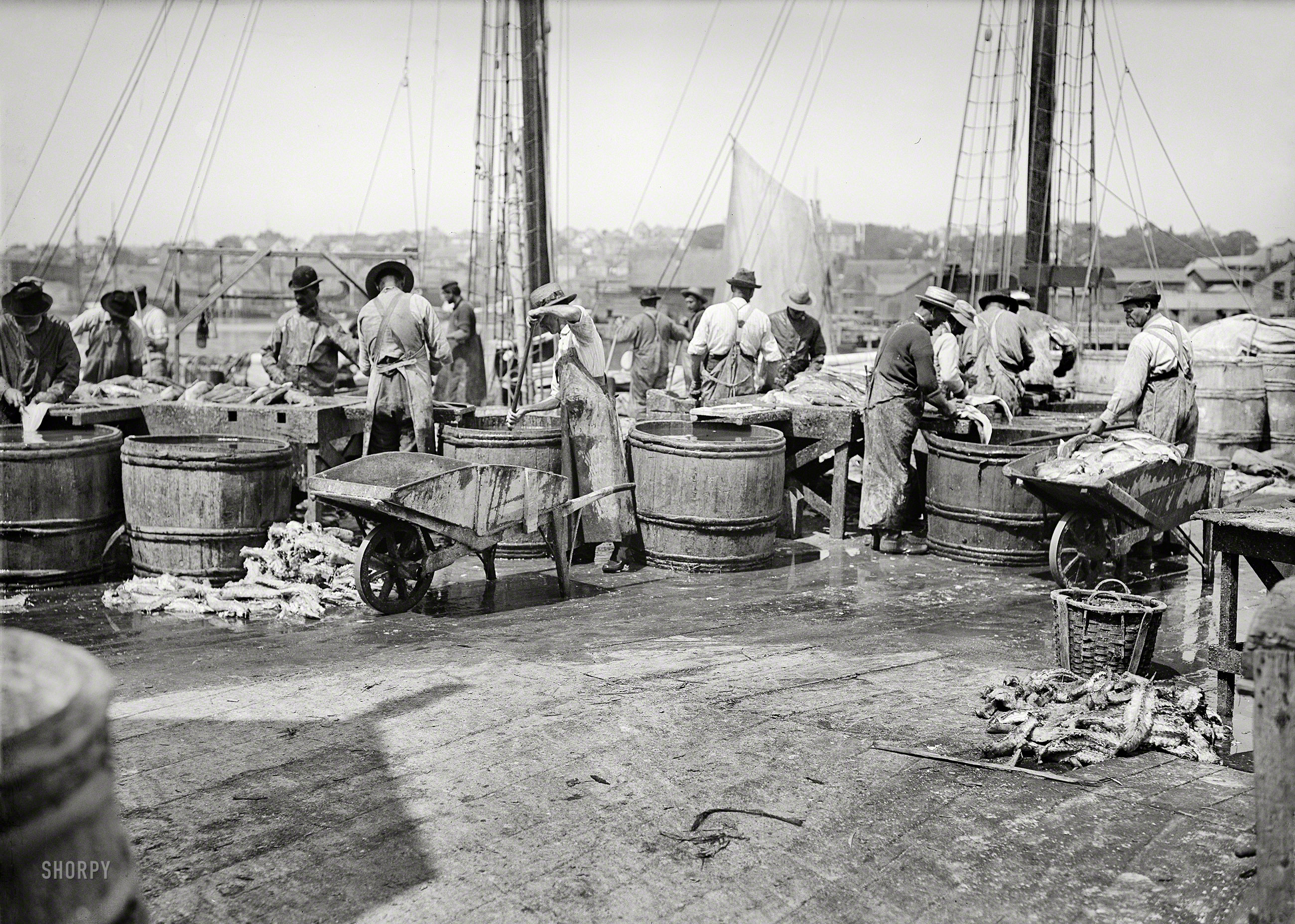Gloucester, Massachusetts, circa 1903. "Handling a cargo from the fishing banks." 5x7 inch dry plate glass negative, Detroit Publishing Company. View full size.