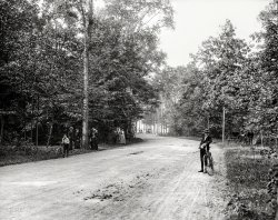 Detroit circa 1899. "Forest Drive, Belle Isle Park." 8x10 inch dry plate glass negative, Detroit Photographic Company. View full size.