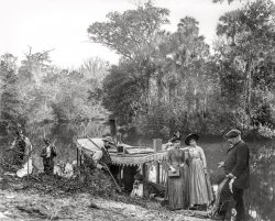 Volusia County, Florida, circa 1897. "On the Tomoka." The nice people last glimpsed here. 8x10 inch glass transparency by William Henry Jackson. View full size.