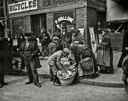 New York circa 1900. "Italian bread peddlers, Mulberry Street." 8x10 inch dry plate glass negative, Detroit Photographic Company. View full size.