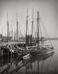 1905. "Along the wharves -- Gloucester, Massachusetts." Starring the schooner Azorian. 8x10 inch glass transparency, Detroit Photographic Company. View full size.