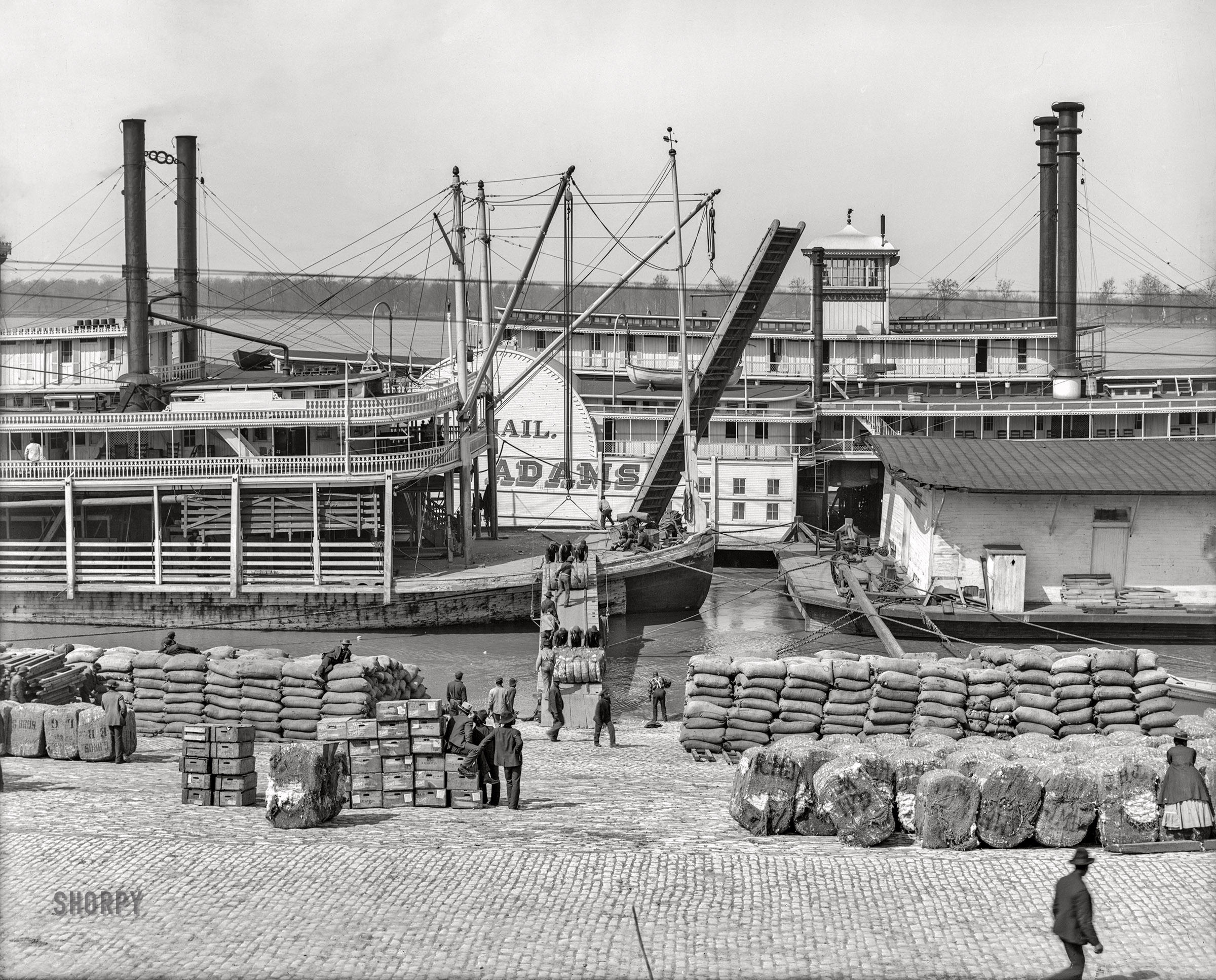 Memphis and the Mississippi River circa 1906. "Unloading cotton at the levee." At rear, the sidewheeler Kate Adams. 8x10 inch glass negative, Detroit Publishing Company. View full size.