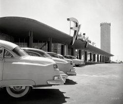April 1954. "Flamingo Hotel, Las Vegas." Medium format negative for the Look magazine assignment "What Price Gambling in Nevada?" View full size.