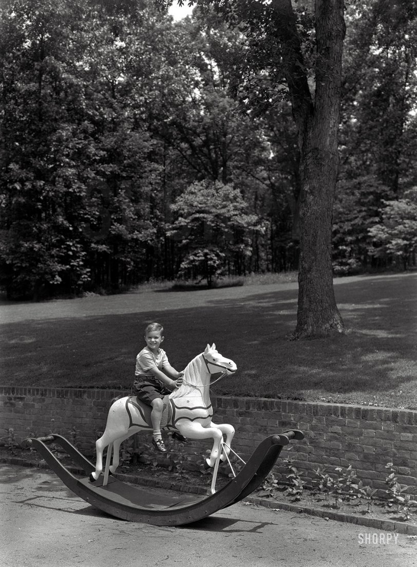 &nbsp; &nbsp; &nbsp; &nbsp; "Timothy Mellon is chairman and majority owner of Pan Am Systems, a transportation holding company."&nbsp; &nbsp;  -- Wikipedia
June 17, 1947. "Paul Mellon residence in Upperville, Virginia. Timmie on hobbyhorse." Large-format negative by Gottscho-Schleisner. View full size.
