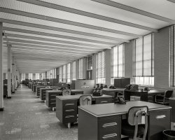 March 23, 1954. "Becton Dickinson Co., Rutherford, New Jersey. Office." Large-format acetate negative by Gottscho-Schleisner. View full size.