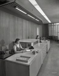 January 25, 1955. "Becton Dickinson Inc., Rutherford, New Jersey. Fellheimer & Wagner, client. Double secretarial desk." A veritable Maginot Line of stenographic fortification. 4x5 acetate negative by Gottscho-Schleisner. View full size.