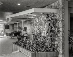 Leafy Lobby: 1957