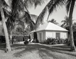 February 19, 1958. "Mrs. J.V. Reed residence in Hobe Sound, Florida. Guest house. William Kemp Kaler, architect; Innocenti & Webel, landscape architect." 4x5 inch acetate negative by Gottscho-Schleisner. View full size.
