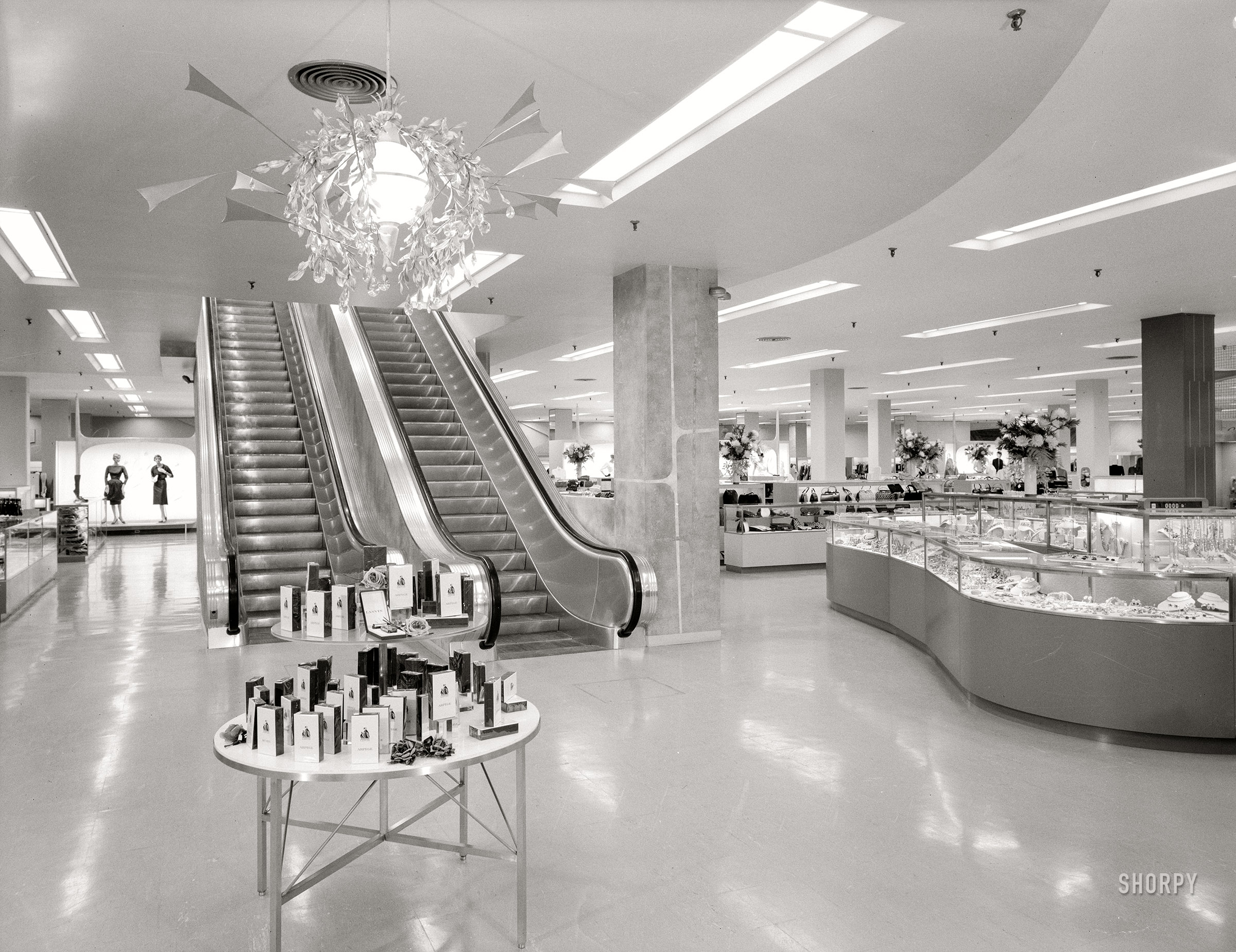 October 23, 1959. "Bloomingdale's, Hackensack, New Jersey. Escalators. Raymond Loewy, client." 4x5 inch acetate negative by Gottscho-Schleisner. View full size.