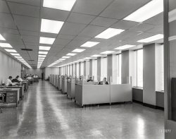 May 28, 1963. "Liberty Mutual Life Insurance Co., 444 Merrick Road, Lynbrook, Long Island. First floor, south wall." Bathed in the flattering glow of the fluorescents. 5x7 acetate negative by Gottscho-Schleisner. View full size.