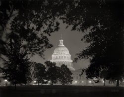 Washington, D.C., circa 1940. "U.S. Capitol exteriors. Dome of Capitol through trees at night." 8x10 acetate negative by Theodor Horydczak. View full size.
