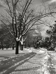 Washington circa 1935. "U.S. Capitol exteriors. Dome of Capitol and park in winter." 5x7 nitrate negative by Theodor Horydczak. View full size.