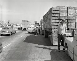 Oakland circa 1958. "Collision with truck." Oldsmobile meets Hunt's Tomato Sauce. 4x5 acetate negative from the News Archive. View full size.
