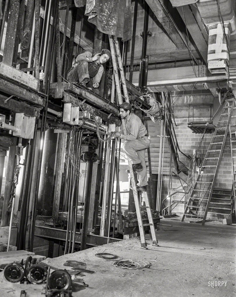&nbsp; &nbsp; &nbsp; &nbsp; "I thought YOU had the blueprints!"
Chicago circa 1955. "Elevator engineers." A job that has its ups and downs. 4x5 acetate negative from the News Photo Archive. View full size.
