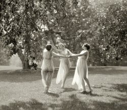 Long Island or Connecticut circa 1929. "Unidentified women, possibly Elizabeth Duncan dancers." 4x5 nitrate negative by Arnold Genthe. View full size.
Again??Time to call Orkin.
It Happened to Us!Our back yard has a big lawn surrounded by a small woods, making it feel quite pastoral.  Once, our church filmed some interpretive dancers doing their bit back there.  So, this picture is as relevant now as it was nearly a century ago!
Isadora?Shouldn't that be Isadora Duncan?
[Not when referring to her sister Elizabeth. -tterrace]
EtherealI love this photo! Reminiscent of the calm, less complex time, before our current high tech intensity.
Why, umm, no. "Does this gauzy dress-like garment with the rubber band thingy situated awkwardly beneath my posterior make me look fat?" 
I can&#039;t define &quot;diaphanousness&quot;But I know it when I see it.
(The Gallery, Arnold Genthe, Dance)