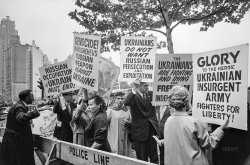 September 1960. New York. "Demonstration to free Ukraine from Soviet rule outside the United Nations building during Nikita Khrushchev's visit for opening session of the Fifteenth General Assembly." 35mm acetate negative by Fred Stein. View full size.