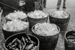 October 1938. "Ice at refreshment stand, state fair, Donaldsonville, Louisiana." 35mm negative by Russell Lee, Farm Security Administration. View full size.
It likes youThe sight of that bottle always made me happy.  And it wasn't the lady with bubbles, which was gone by my day.   Maybe it was the green, maybe it was the magic number.
[Another thing: If my circa 1963 childhood memory serves, it used to taste better. - Dave]
Good for stomach miserySoda crackers and 7-Up: good for the upset stomach, at least back when I was kid. Mama's remedy.
We Don&#039;t Know... where Mom is, but we've got "Pop" on ice!
Stomach settling In the South, soda crackers and pop as a stomach remedy is still used: Three or four Saltines and a glass of either 7-Up or ginger ale. I still do it and I bet my granddaughters are dosed in that fashion, because my kids certainly were.
Funny! Seems to work somehow and does no harm.
7-Up slogan &amp; bottle -- fond memoriesI spent more hours in a bar at age 4 than I have in my entire adult life. My dad would stop at a friend's tavern and have a beer, and I would always have a 7-Up sitting next to him.
I have to confess that exposure to this environment at such a tender age has resulted in my being somewhat of a lush in my senior years -- on average, I now consume one beer a month.
The original pic is sure a great one; I remember as a kid drinking the 6-ounce Cokes from the old greenish "hoopskirt" style bottles.
I certainly regret not taking a store owner up on the offer of "taking an old Coke machine" for free when I was about 16 years old. It was probably a Vendo Model 3. I wish I had the machine today!
Barrel on the leftIs that Moxie?
7-Up and soda crackers makes bicarbonate of soda.  Makes you burp and settles your stomach.
Very relaxing...This was when 7-Up really did like you a lot - it contained lithium citrate, a mood stabilizer until 1948.
I agree, DaveI bought a 6-pack of 7-Up recently.  It tastes fizzy and very little citrus taste.  It's nothing like it used to be. 1956 era here.
Ice Bucket Challenge ???Looks like they already were ready for Ice Bucket Challenge ...
Drinks on the left are...Delaware Punch
(The Gallery, Russell Lee)
