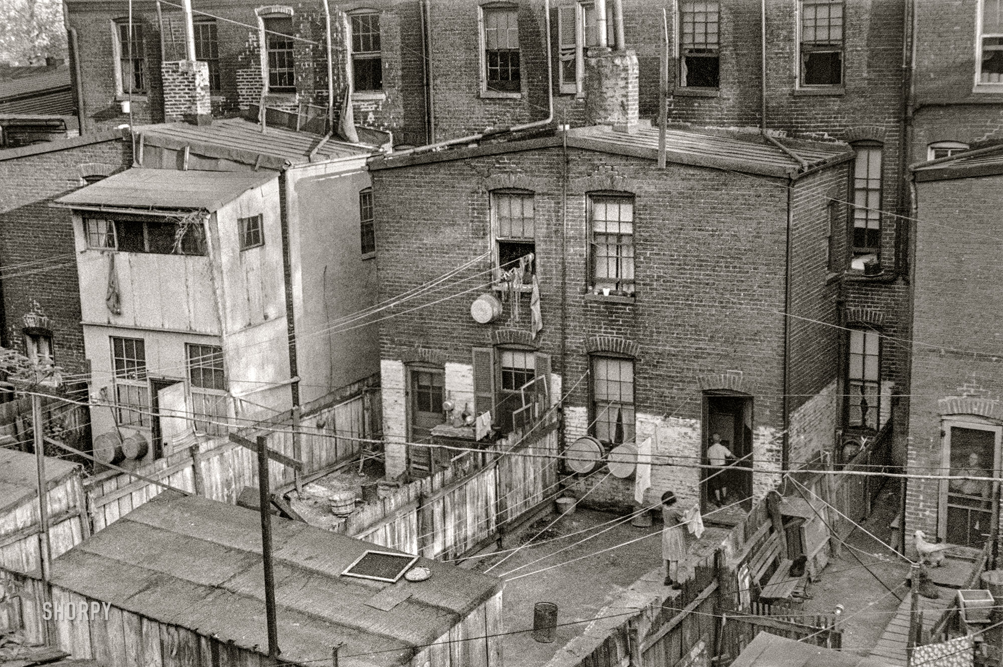 &nbsp; &nbsp; &nbsp; &nbsp; Almost 40 years later, a view of the back yards last seen here.
Washington, D.C., 1939. "A view of backyards of apartment houses where both white and Negro families are living." 35mm nitrate negative by David Moffat Myers. View full size.