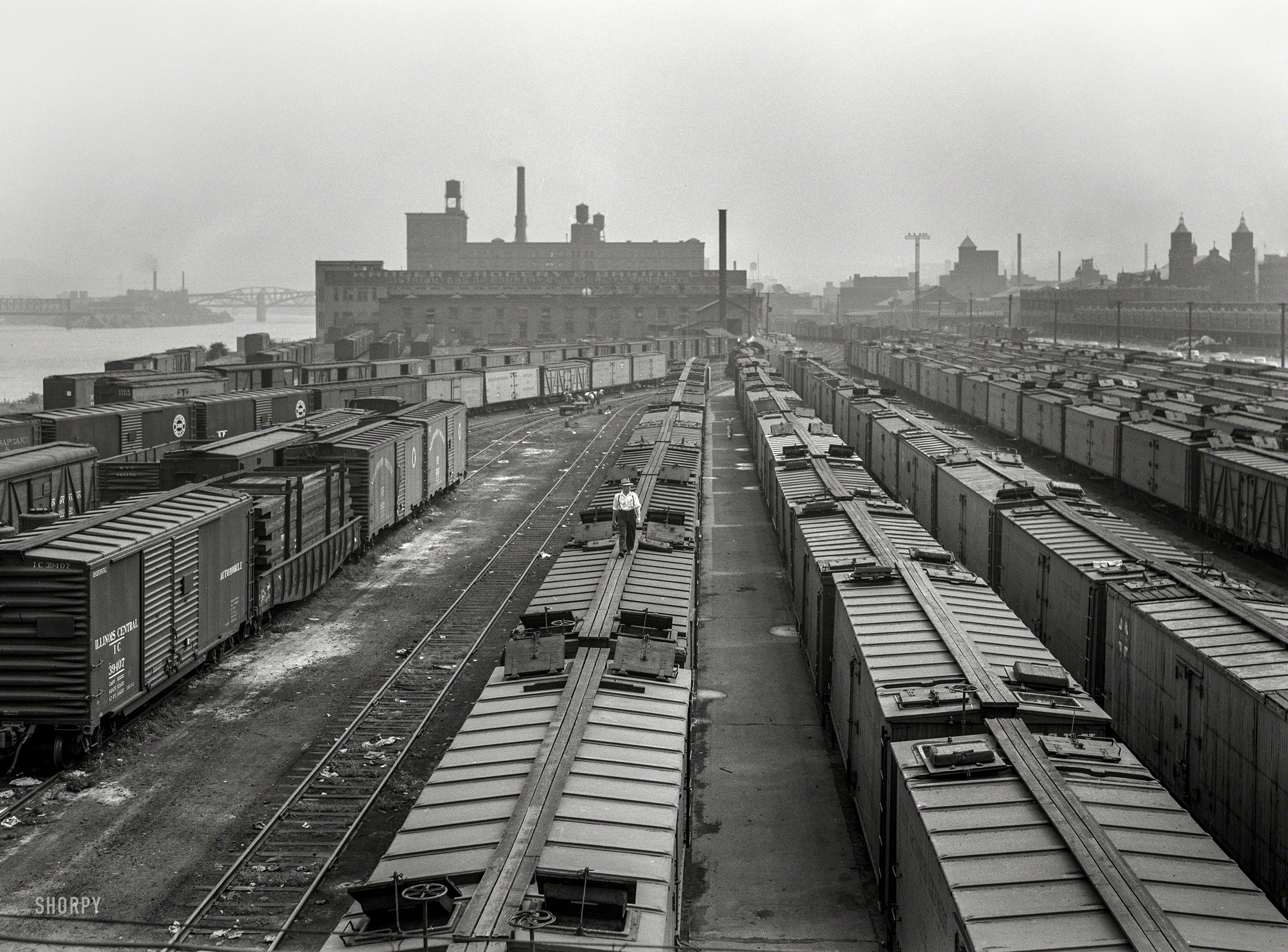 September 1942. The Kroger warehouse in Pittsburgh, Pennsylvania. "Freight car movements. With transportation assuming vast new importance in wartime America, movement of freight cars must be accomplished with the fullest efficiency and speed. Loss and diversion of ocean carriers which served our seaboard cities have thrown an enormous burden upon the railroads." 4x5 inch nitrate negative by Ann Rosener for the Office of War Information. View full size.