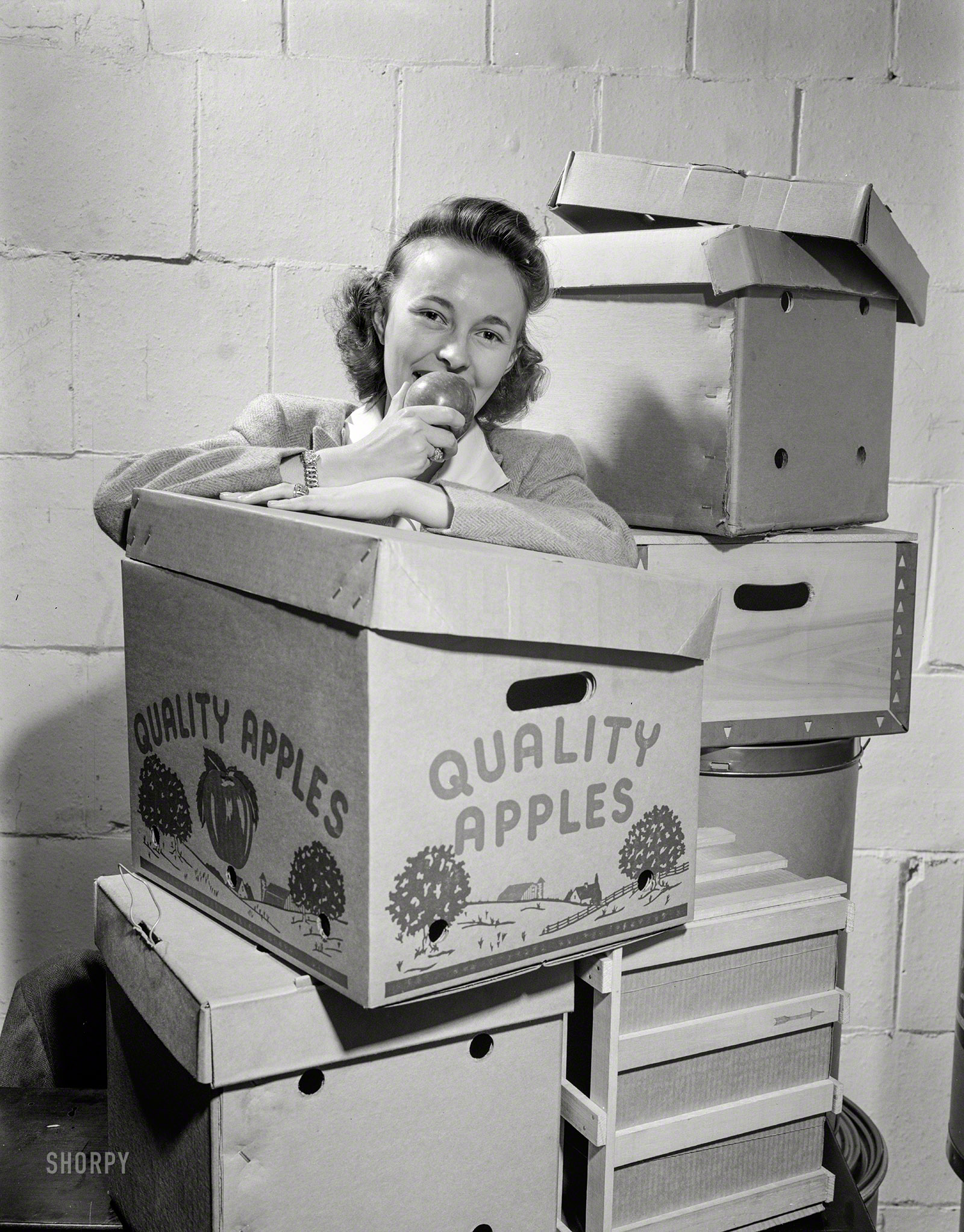 September 1942. "Substitute materials -- something new in apple containers. To replace nail-bound wooden boxes, a fiber carton has been developed." An innovation known today as the cardboard box. Medium format nitrate negative by William Perlitch for the Office of War Information. View full size.