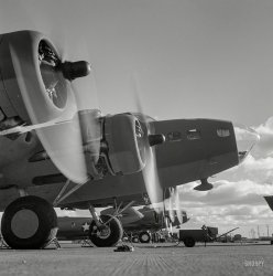 December 1942. "Production. B-17 heavy bomber. The four mighty engines of a new B-17F (Flying Fortress) bomber warm up at the airfield of Boeing's Seattle plant as another warship of the air awaits its flight test. The Flying Fortress has performed with great credit in the South Pacific, over Germany and elsewhere. It is a four-engine heavy bomber capable of flying at high altitudes." Photo by Andreas Feininger for the Office of War Information. View full size.